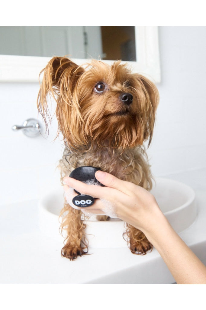 Dog By Dr Lisa - Wash Brush - Black